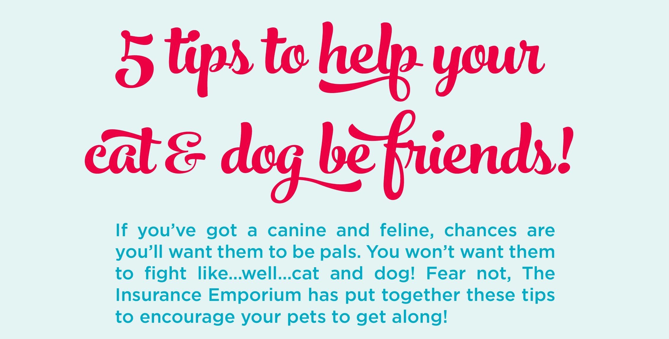 Tips on how to make a dog and cat become friends