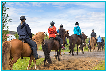 Am I too old to learn to ride a horse? - group riding lesson outside.