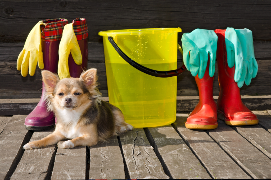 Pet Safe Cleaning Products Dog 
