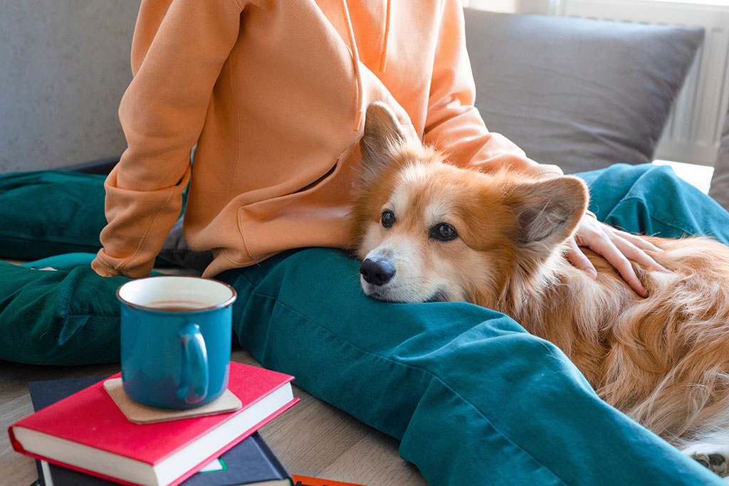 happy girl and corgi. a girl sits on the floor and reads a book next to a corgi dog