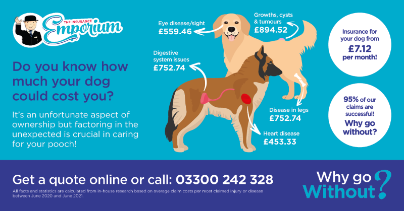 THE IMPORTANCE OF PET INSURANCE - Welcome to The Insurance Emporium