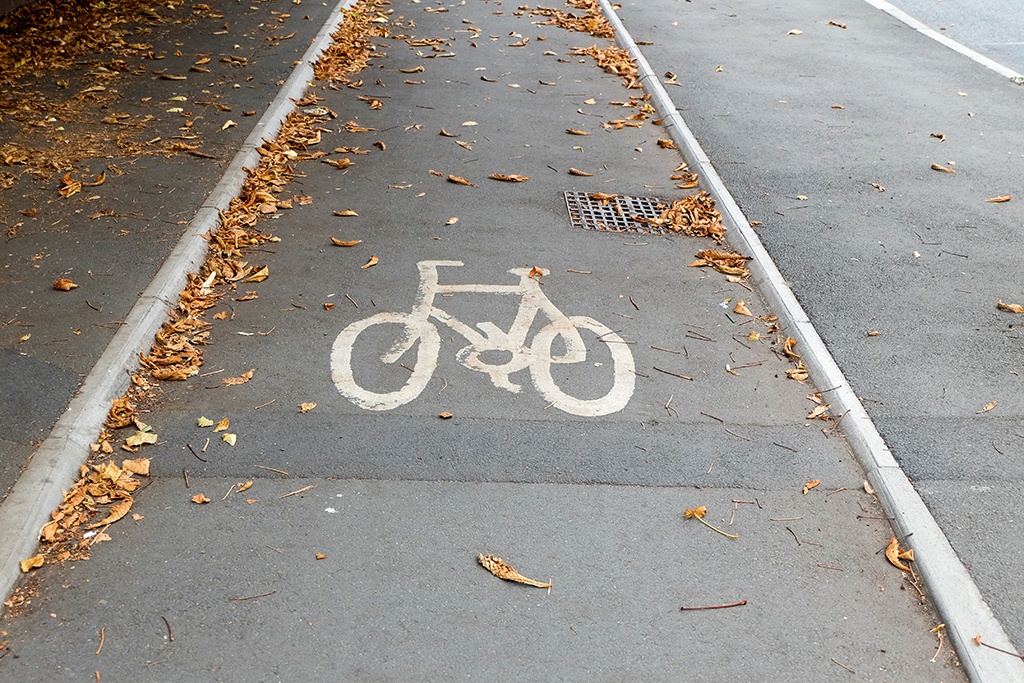 Bicycle sign at bicycle lane used at Rusholme with dead leaves.