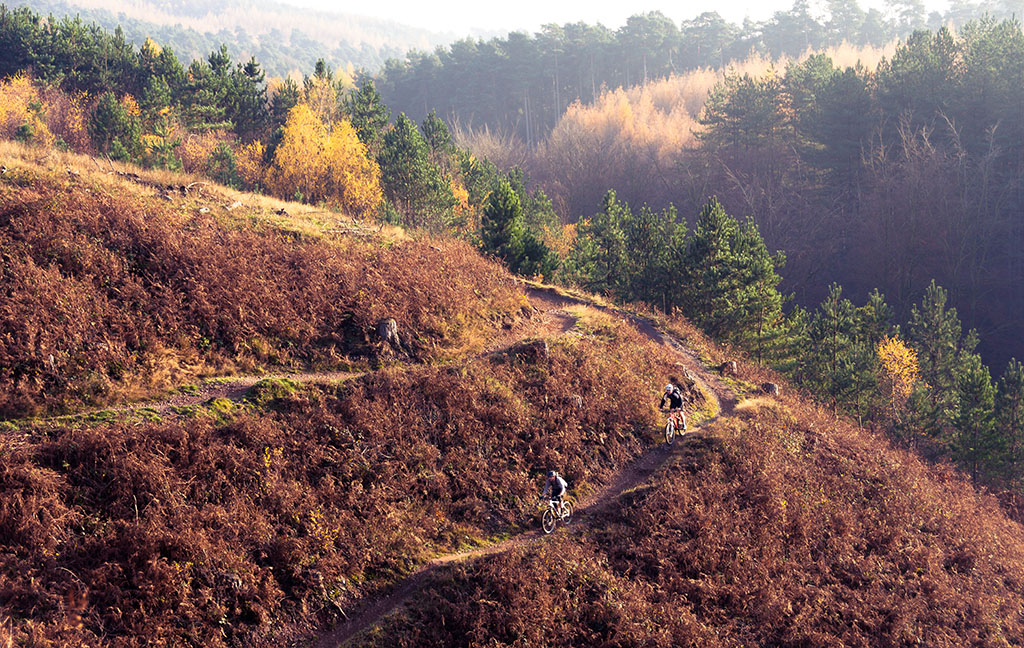 Cyclists enjoying the trails across Cannock Chase forest in the autumn sunshine