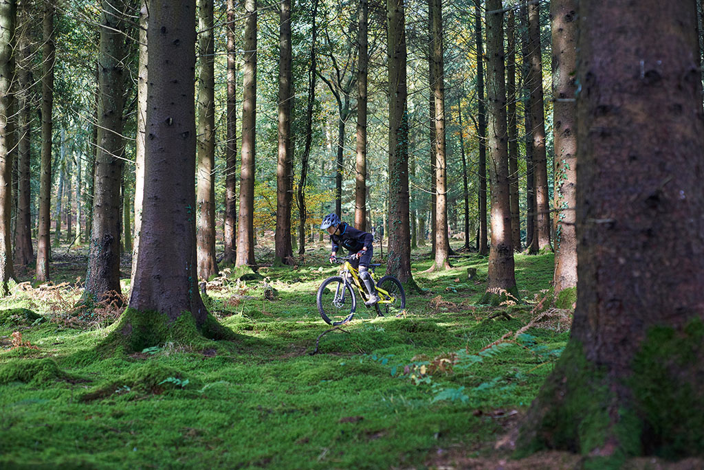 Female mountain biker cycling through the Forest of Dean, Bristol, UK